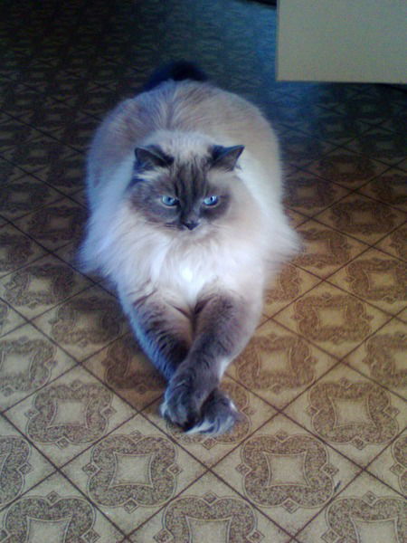 Наталья Рязанова