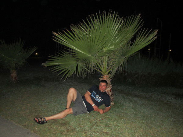 Рома Габитов