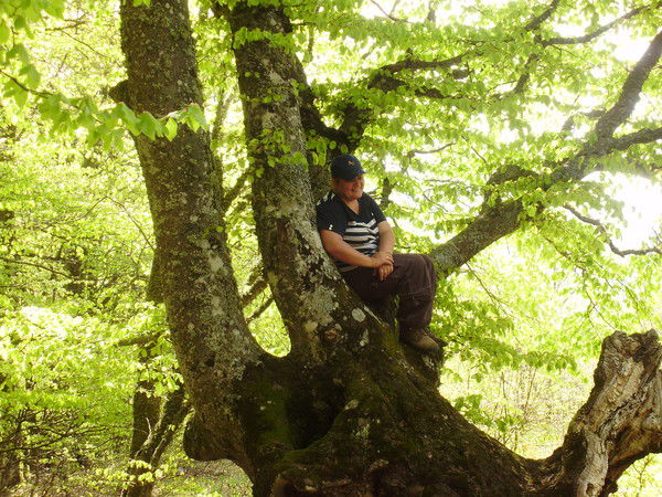 Галина Щебитченко