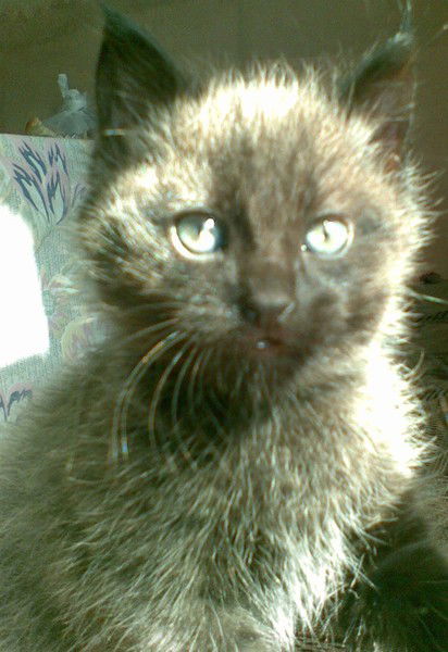 Виталий Дзюбчук