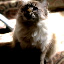 Элла Иванова