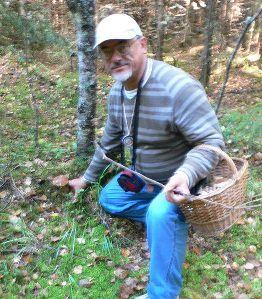 Константин Сорокин