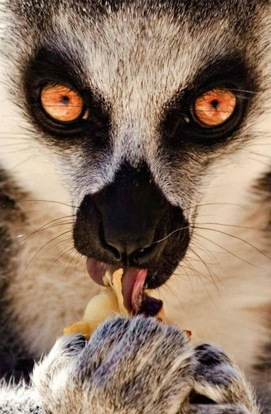 Элина Гаврилюк