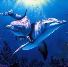 Назим Осмонович