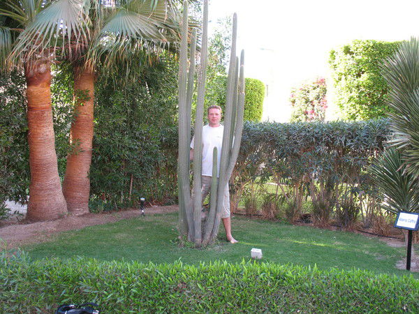 Александр Псуненко