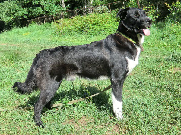 Анна Харисова