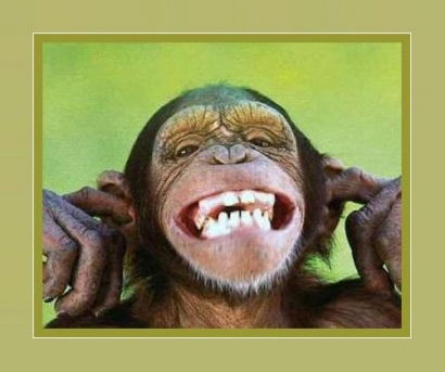 Андрей Бесхлебнов