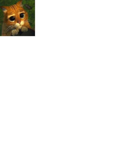 Владимир Соколов