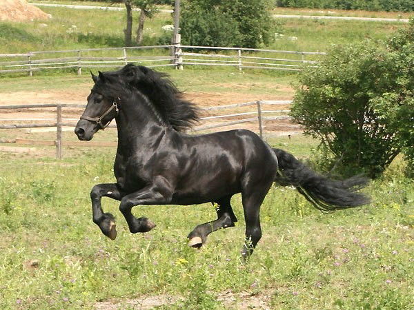 Абзал Мусекенов