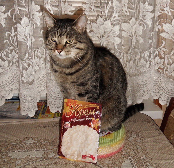 Андрей Куринов