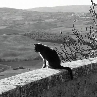 Александр Руцкой