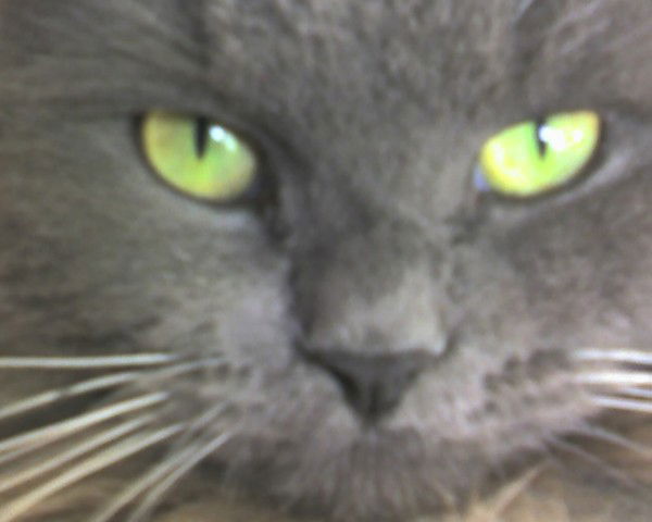 Сергей Ярушин