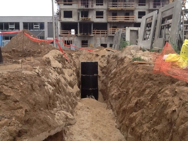 Прошка Негодяй