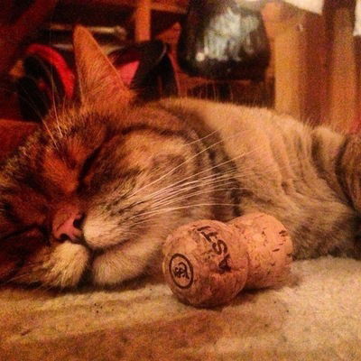 Елизавета Вайс