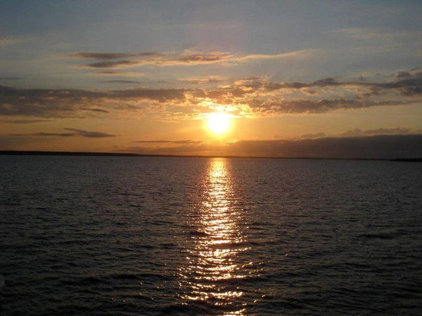 Оксана Гавришкина