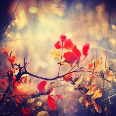 Аня Зазулина