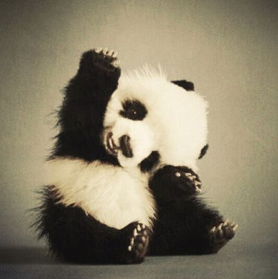 Юля Егорова