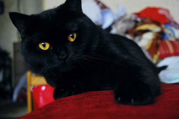 Екатерина Апарина