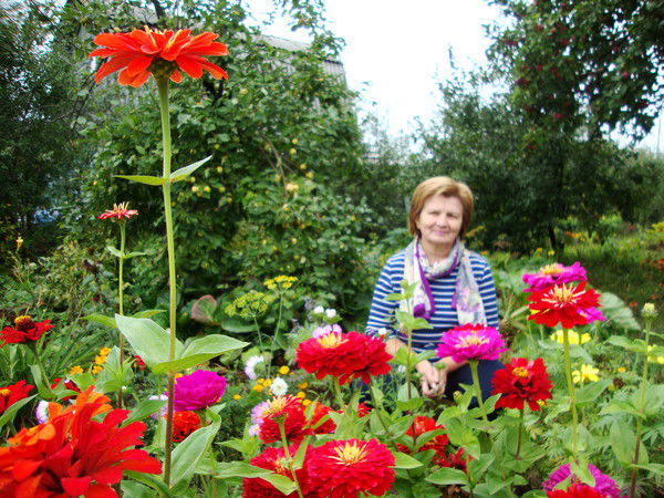 Светлана Меньшикова