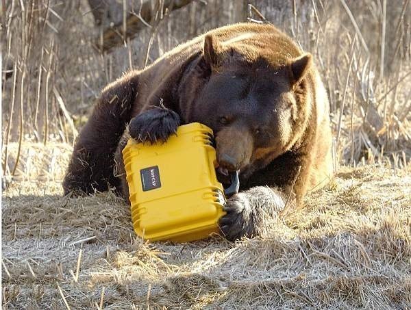 Константин Сергеевич