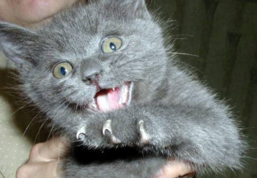 Сергей Войненко