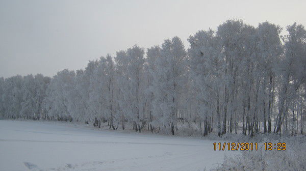 Олег Положечников