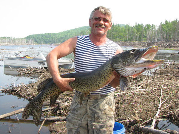 Володя Кукушкин