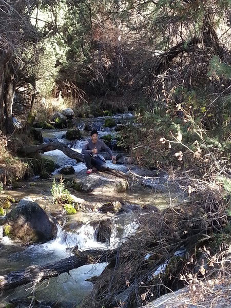 Расул Абубакиров