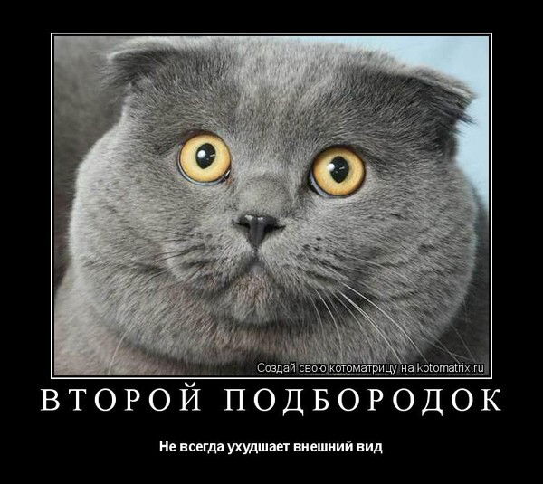 Лена Лисицына