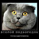 Лена Лисицына
