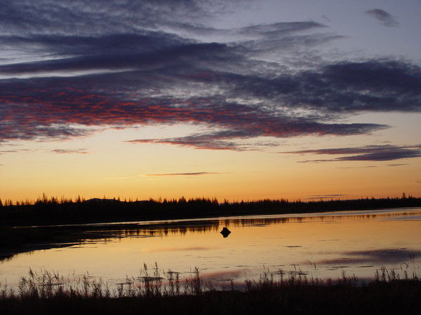 Игорь Кравченко