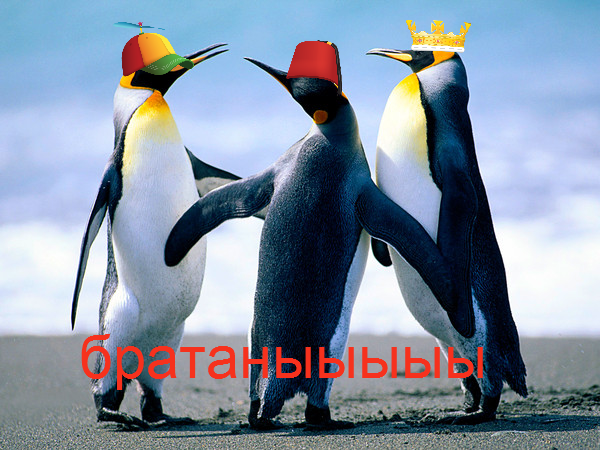 Даулет Илияс