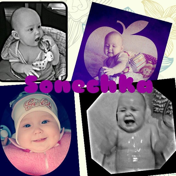 Каталея Прекрасная