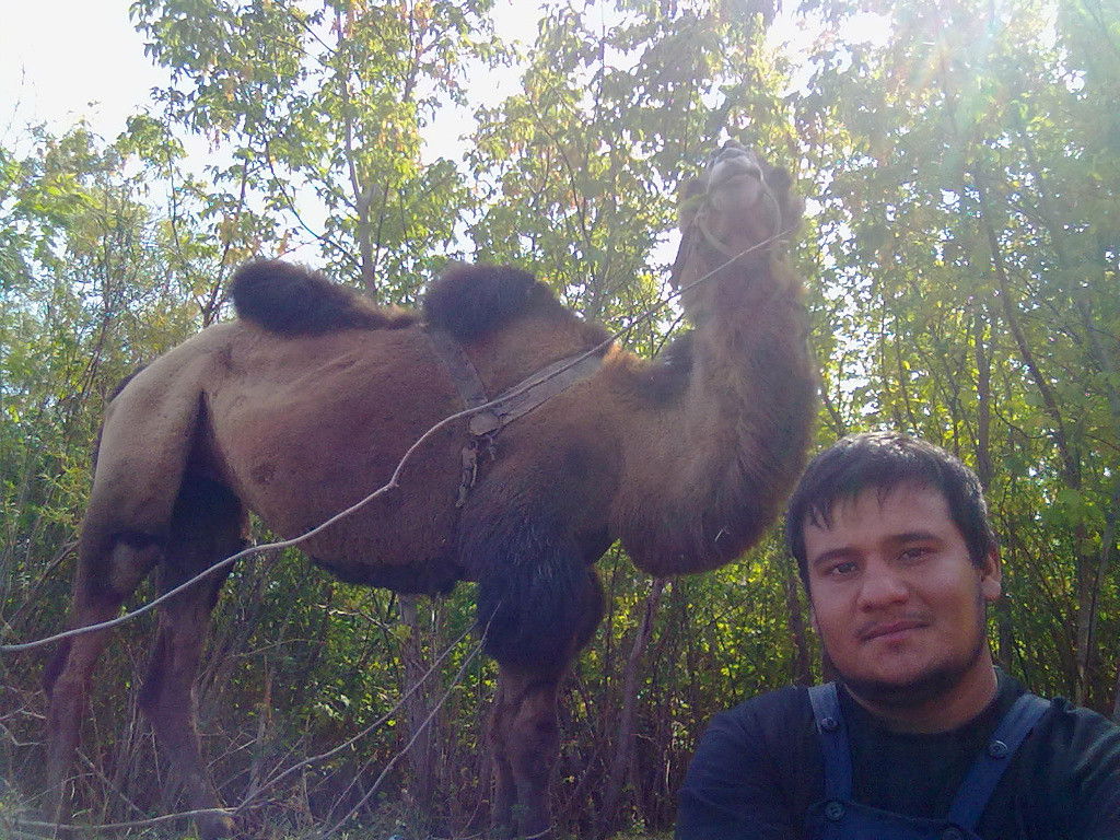 Анвар Эбуев