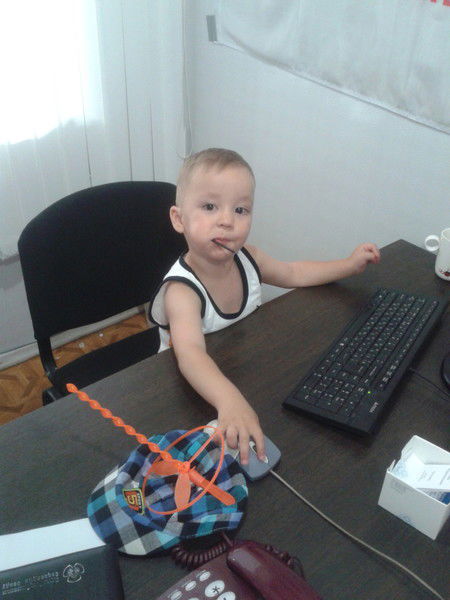 Елена Высоцкая