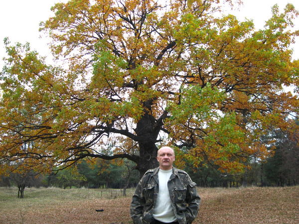 Юрий Азаров