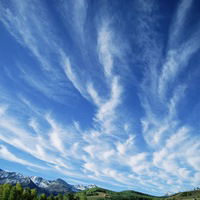 Ирина Голубева