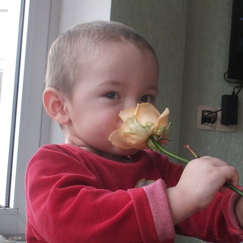 Борис Таумурзаев