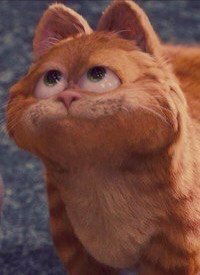 Анастасия Рахаева