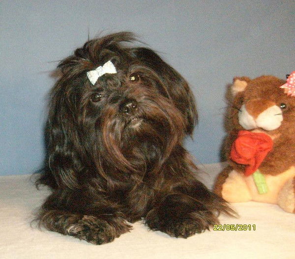 Светлана Крючкова