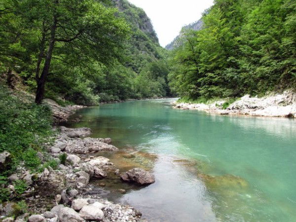 Ирада Талыбова