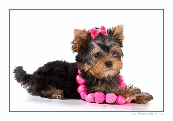 Лана Новикова