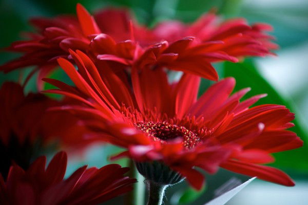 Баян Атагожина