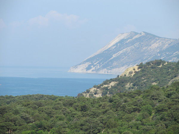 Алексей Ваструхин