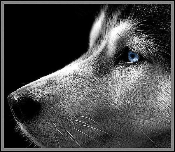 Виктория Черновец