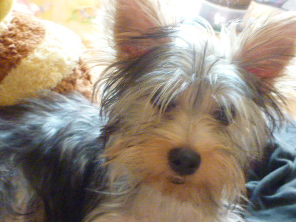 Ольга Васильева