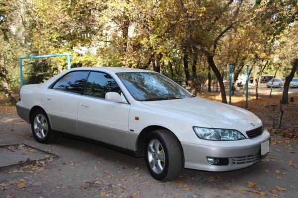 Таскын Елюбаев