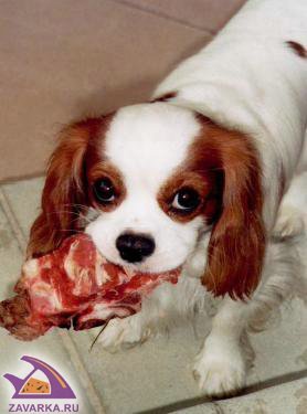 Игорь Лапиков