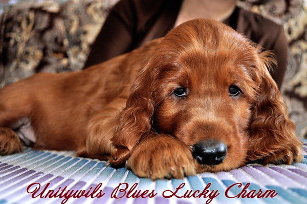 Алена Ппппп