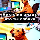 Дмитрий Стертюков